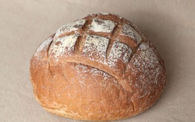 Honig-Salz-Brot ohne Hefe – mild & natürlich fermentiert