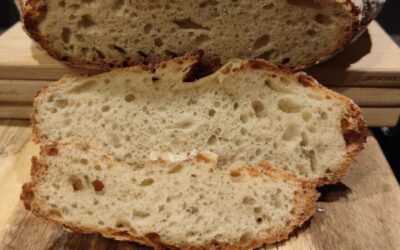 Rosmarin-Parmesan Brot | No-Knead & Cold Bake Rezept