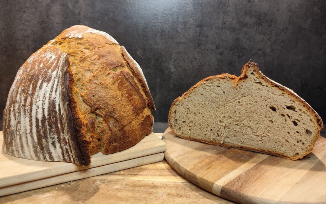 Big Family Joghurtbrot XXL – rustikales Dinkelbrot